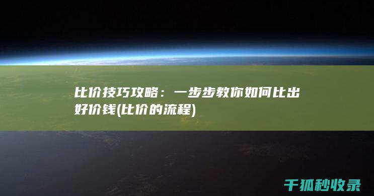 比价技巧攻略：一步步教你如何比出好价钱 (比价的流程)