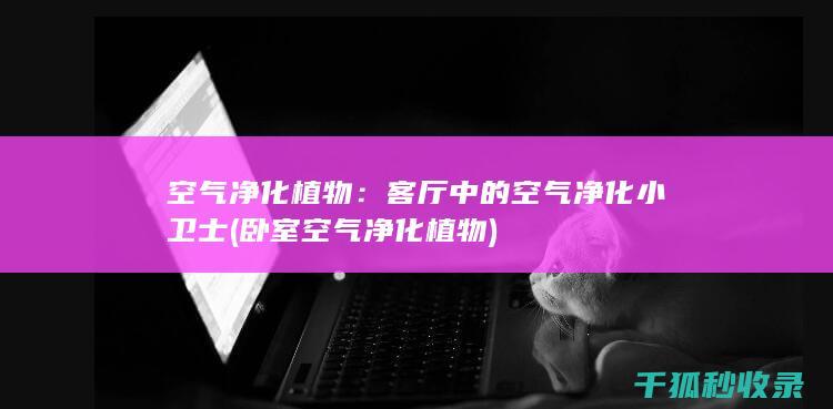 空气净化植物：客厅中的空气净化小卫士 (卧室空气净化植物)