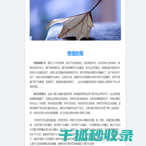 软件大全