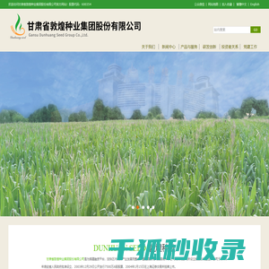 敦煌种业